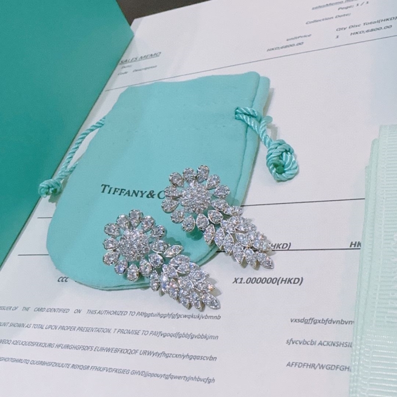 T*f*ny earrings